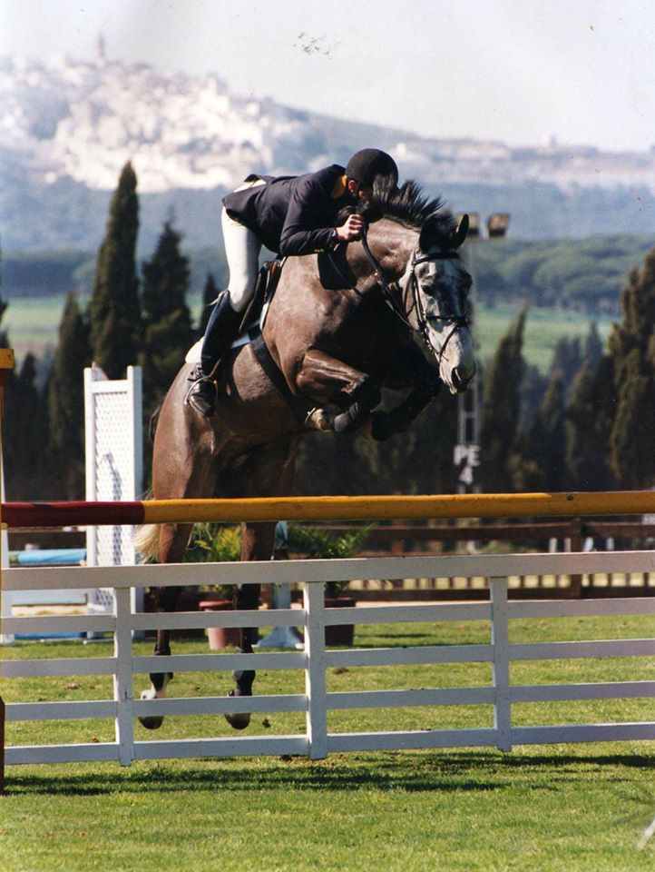 Lugano I - International Showjumper